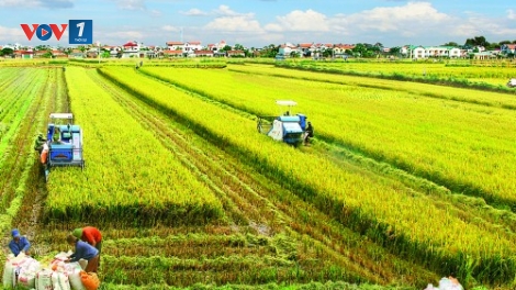 Cần một cú huých thực chất (24/6/2017)