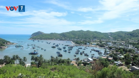 Vì tương lai của chúng ta - Hãy ứng xử hài hòa với đại dương (08/6/2017)
