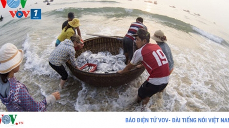 Trong khi các tỉnh Hà Tĩnh, Quảng Bình đang khẩn trương hoàn thành việc chi trả đền bù sự cố ô nhiễm môi trường biển thì tại tỉnh Quảng Trị, công tác này hiện đang gặp nhiều vướng mắc (Thời sự đêm 27/6/2017)