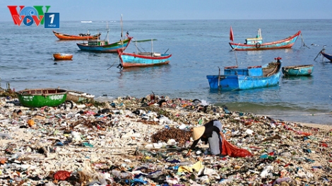 Lý Sơn: Phát triển du lịch cần đi đôi với bảo vệ môi trường biển tự nhiên (14/6/2017)