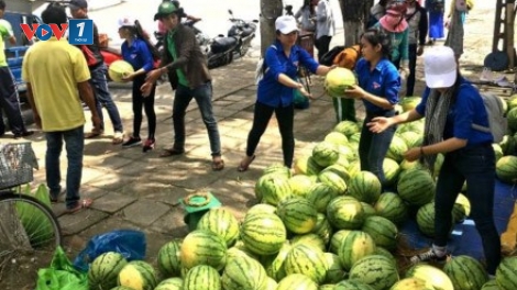 Sau giải cứu nông sản, cần "giải cứu" tư duy quản lý (03/6/2017)