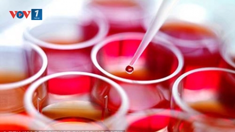 Điều trị các bệnh lý về máu nhờ ghép tế bào gốc tạo máu (30/6/2017)