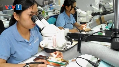 Việt Nam tăng 12 bậc về chỉ số đổi mới sáng tạo (Thời sự đêm 15/6/2017)