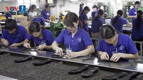 Doanh nghiệp bị trói bởi điều kiện kinh doanh (07/7/2017)