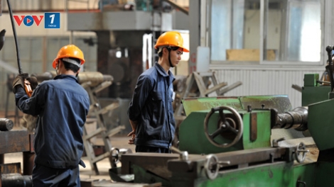 Báo động tình trạng doanh nghiệp phá sản tăng đột biến (26/7/2017)
