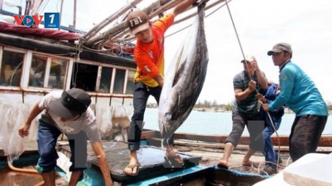 Phát triển kinh tế biển, bài toán còn nhiều thách thức (02/7/2017)
