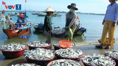 Cần có giải pháp bảo tồn trong khai thác thủy sản (10/7/2017)