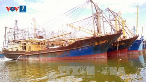 Vướng mắc trong sửa chữa tàu vỏ thép đóng theo Nghị định 67 bị hư hỏng (19/7/2017)