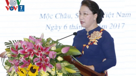 Quốc hội tập trung giám sát trong lĩnh vực đất đai (10/7/2017)