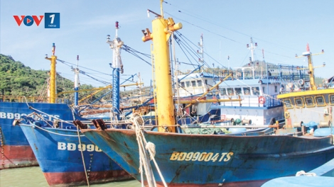 Sửa đổi Nghị định 67-ngư dân được hỗ trợ một lần sau đầu tư (6/8/2017)