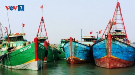 Bà Rịa – Vũng Tàu: Khan hiếm lao động, nhiều tàu cá năm bờ (14/8/2017)