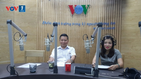 Các giải pháp đảm bảo an toàn lưới điện quốc gia trong những tháng cao điểm mùa mưa bão năm 2017 (15/8/2017)