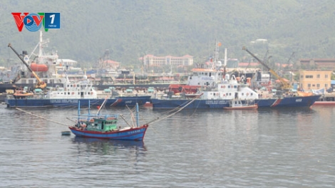Dự thảo Luật Thủy sản sửa đổi: Lực lượng kiểm ngư cần tính toán đến hiệu quả (24/8/2017)