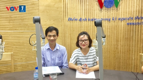 Người chăn nuôi cẩn trọng chọn lợn giống khi tái đàn (2/8/2017)