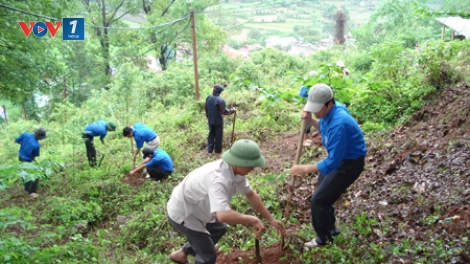 Chính sách giao đất, giao rừng cần tạo điều kiện cho người nhận đất, nhận rừng. (23/8/2017)
