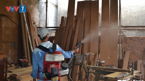 Từ ngày mai, toàn thành phố Hà Nội sẽ ra quân tổng vệ sinh môi trường, phun thuốc diệt muỗi trên diện rộng (Thời sự đêm 11/8/2017)