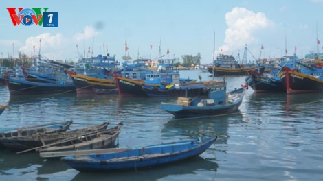 Hệ quả của tình trạng thiếu lao động nghề biển (30/8/2017)