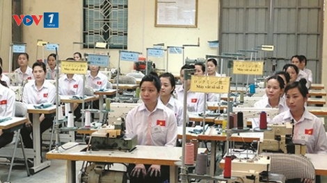 Chuẩn bị nhân lực chất lượng cao cho xuất khẩu lao động (15/8/2017)