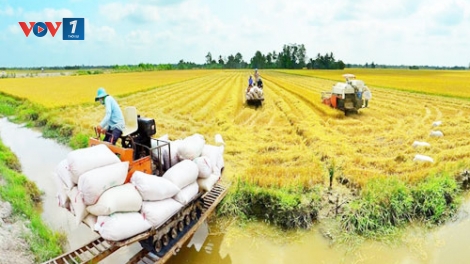 Kịch bản cho nông nghiệp Đồng bằng sông Cửu Long phát triển bền vững, thịnh vượng (28/9/2017)