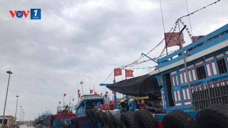 Khai khống thiệt hại sau bão: Nỗi đau nhân đôi (28/9/2017)