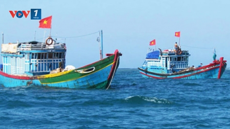 Ra khơi bám biển và nhiệm vụ giữ ngư trường truyền thống (25/9/2017)