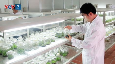 Năm 2018: Khoa học công nghệ cần giải quyết những vấn đề mang tính thời sự, cấp thiết của cuộc sống (12/01/2018)