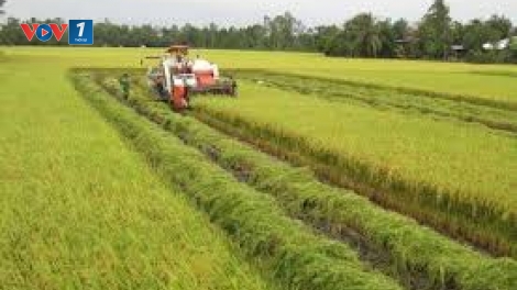Nông nghiệp 2018: Cơ hội và thách thức (03/01/2018)