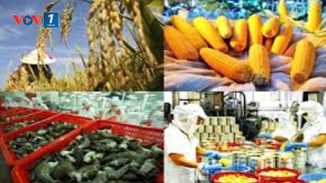 Gỡ nút thắt chế biến: Giải pháp then chốt thúc đẩy xuất khẩu nông sản năm 2018. (12/01/2018)