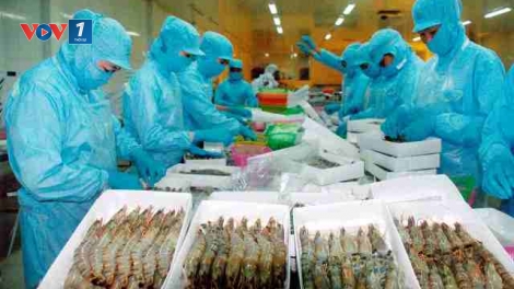 Năm 2018: Ngành thủy sản xác định mục tiêu nâng cao giá trị (12/01/2018)