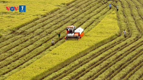 Năm 2018: Khuyến khích tập trung, tích tụ ruộng đất để sản xuất, kinh doanh tập trung quy mô lớn, nông nghiệp công nghệ cao (11/1/2018)
