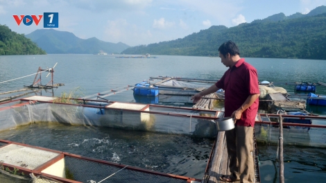 Giải pháp nào đánh thức tiềm năng từ nuôi trồng thủy sản tại các tỉnh miền Bắc (9/10/2018)