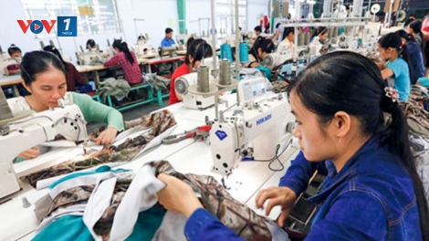 Khó khăn trong khởi kiện doanh nghiệp trốn đóng bảo hiểm xã hội (16/10/2018)