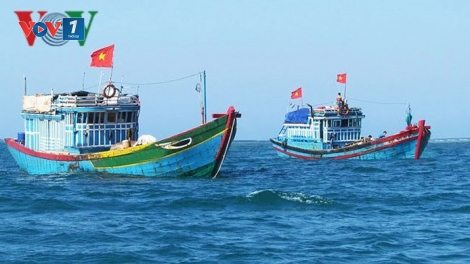 Cần xây dựng kinh tế biển xanh cho phát triển bền vững biển Việt Nam (8/10/2018)