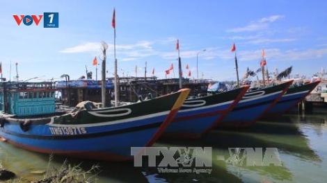 Các địa phương với nỗ lực khắc phục thẻ vàng IUU, góp phần thực hiện Chiến lược biển bền vững (5/10/2018)