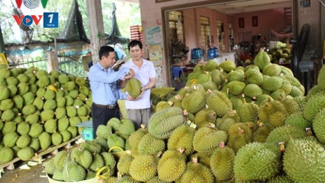 Nền kinh tế nước ta đang tăng trưởng khá đồng đều trên các lĩnh vực theo hướng phát triển chiều sâu và bền vững (2/10/2018)