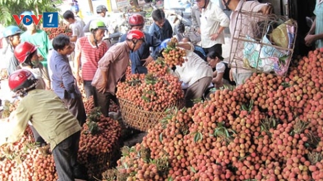 Thêm giá trị cho trái cây Việt ra thế giới (24/11/2018)