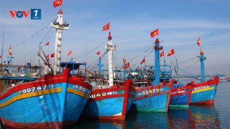 Chính sách xử lý tàu cá vi phạm vùng biển của các nước có vùng biển giáp ranh với Việt Nam (6/11/2018)