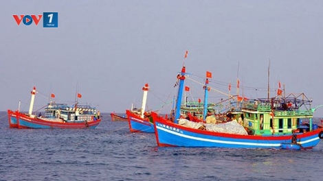 Ngăn chặn các hoạt động môi giới, đầu tư cho tàu cá ngư dân khai thác hải sản trái phép ở vùng biển nước ngoài (13/11/2018)