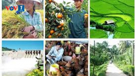 Phát triển nông nghiệp, nông thôn bền vững vì một Việt Nam thịnh vượng (28/11/2018)