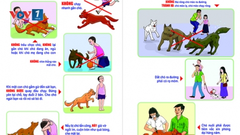 Bệnh dại – những điểm cần lưu ý (14/11/2018)