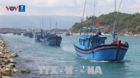 Khó khăn trong công tác đào tạo nghề khai thác thủy sản ở Bình Định (27/11/2018)