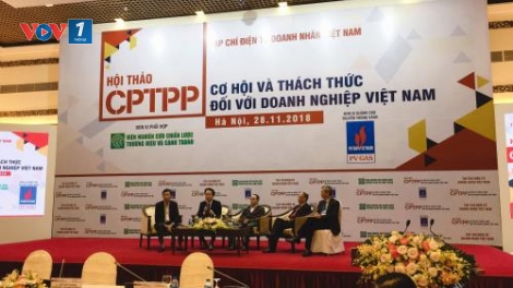 CPTPP: Miếng bánh ngọt nhiều đường (29/11/2018)