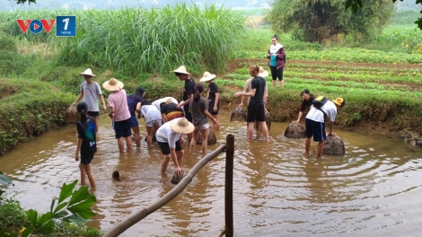 Phát triển du lịch đa chiều trong nông nghiệp (19/11/2018)