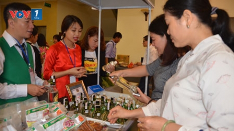 Tìm đối tượng khách hàng cho dự án hợp tác xã rượu chuối Tân Dân (4/11/2018)