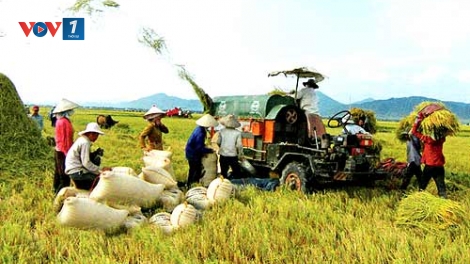 Phải coi nông nghiệp là lợi thế, nông dân là nội lực của đất nước (27/11/2017)