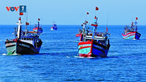 Khai thác IUU góp phần giữ vững an ninh quốc gia trên biển (17/11/2018)