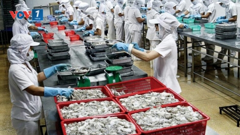 Hệ lụy của việc khai thác bất hợp pháp, không khai báo, không rõ nguồn gốc đối với xuất khẩu thủy sản của Việt Nam vào Châu Âu (12/11/2018)
