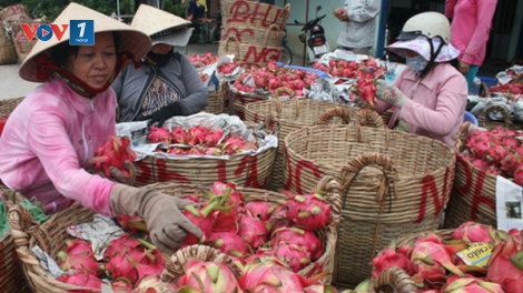Trái cây và câu chuyện tái cơ cấu (16/11/2018)