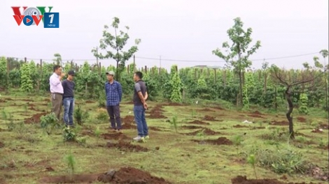 Nâng vai trò phải rõ trách nhiệm, khi các địa phương hướng đến mục tiêu bảo vệ phát triển hiệu quả những cánh rừng còn lại ở Tây Nguyên (16/11/2018)