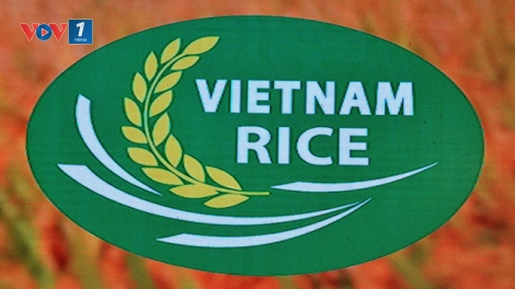Logo Thương hiệu gạo Việt Nam: Mới chỉ là sự khởi đầu cần phải có ! (20/12/2018)